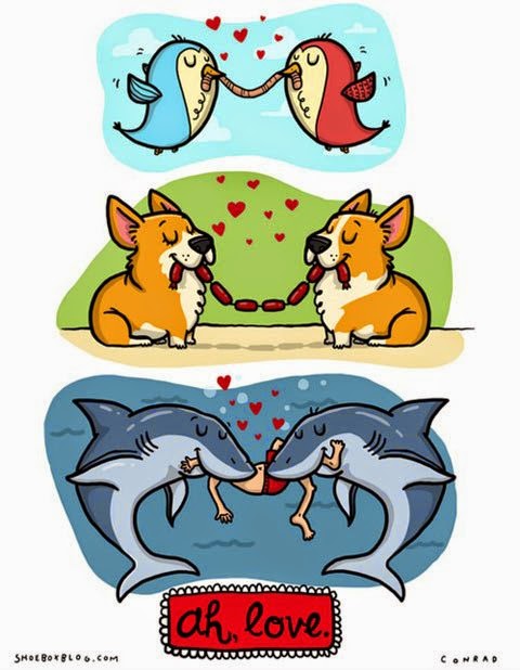 tumblr_n8v7o6Sm2O1sxvay0o1_500