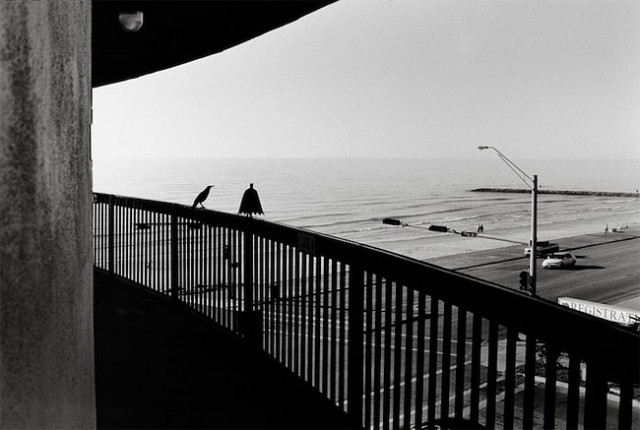 Batman-Adventures-in-Texas-640x430