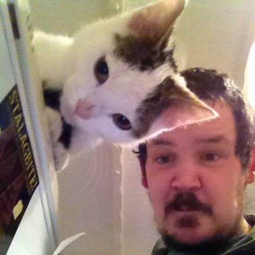 awesome-photos-30