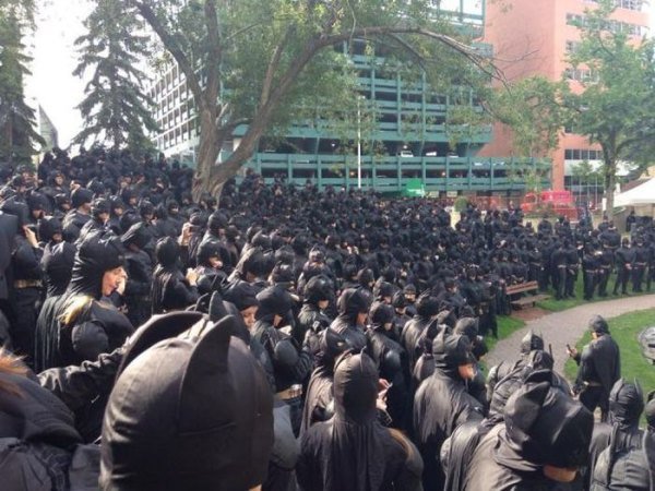 funny-great-photos-73